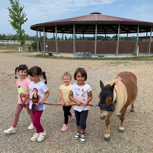 Bambini che portano a passeggio un pony marrone con la criniera beige