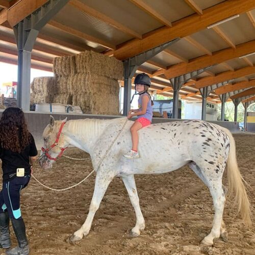 Istruttrice insegna a bambina a stare in groppa ad un cavallo, avente il pelo bianco con delle chiazze nere